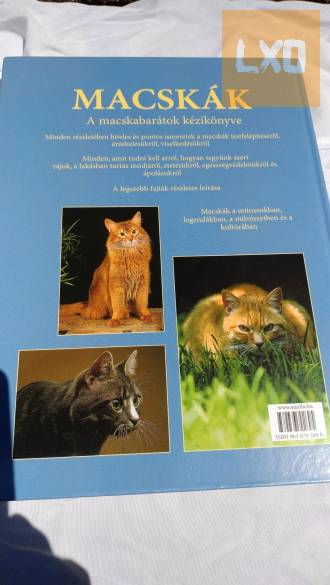 Macskák könyv nagy méretű apróhirdetés