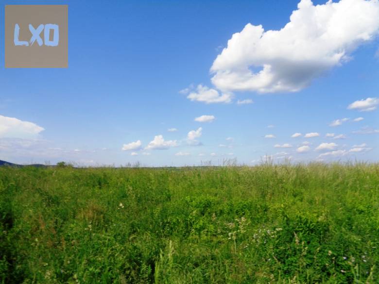 Eladó mezőgazdasági terület Vácon a Felső török hegyen. apróhirdetés