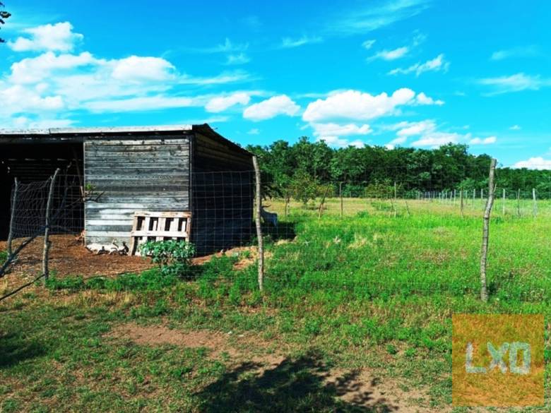 Eladó Sződ határában, 150000 m2-es mezőgazdasági terület. apróhirdetés