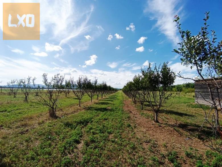 Eladó Sződ határában, 150000 m2-es mezőgazdasági terület. apróhirdetés