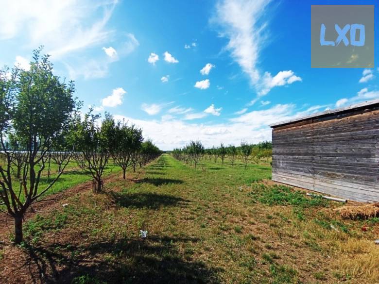 Eladó 15 HA mezőgazdasági terület Sződ határában! apróhirdetés