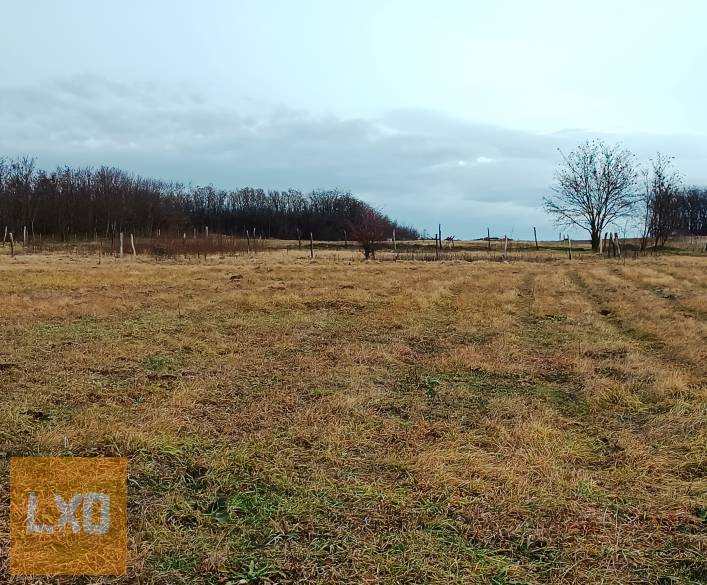 Eladó MK-1 jelű kertes mezőgazdasági övezet Őrbottánban. apróhirdetés
