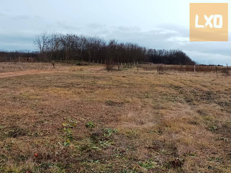Eladó MK-1 jelű kertes mezőgazdasági övezet Őrbottánban. apróhirdetés