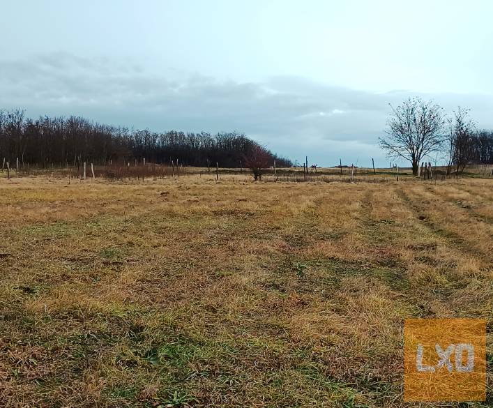 Eladó Mk-1 besorolású telek Őrbottyánban. apróhirdetés