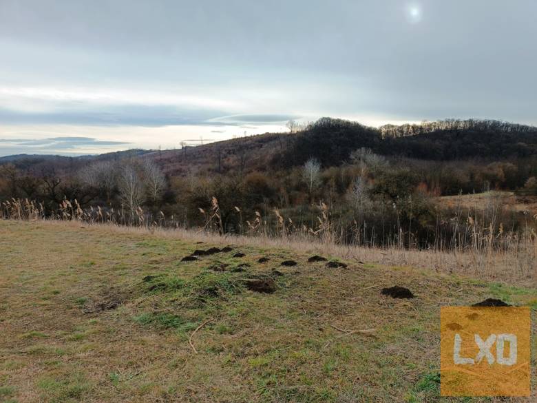Eladó 39390 m2-es mezőgazdasági telek Őrbottyánban. apróhirdetés