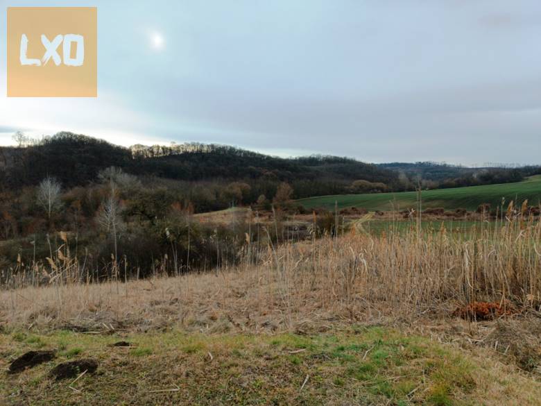 Eladó 39390 m2-es mezőgazdasági telek Őrbottyánban. apróhirdetés