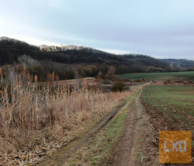 Eladó 39390 m2-es mezőgazdasági telek Őrbottyánban. apróhirdetés