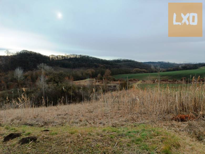 Eladó 39390 m2-es mezőgazdasági telek Őrbottyánban. apróhirdetés
