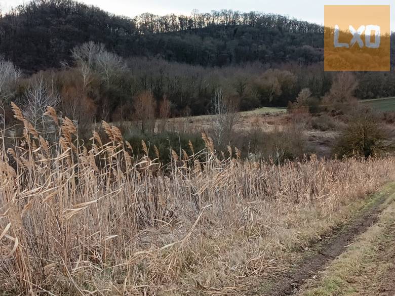 Eladó 39390 m2-es mezőgazdasági telek Őrbottyánban. apróhirdetés