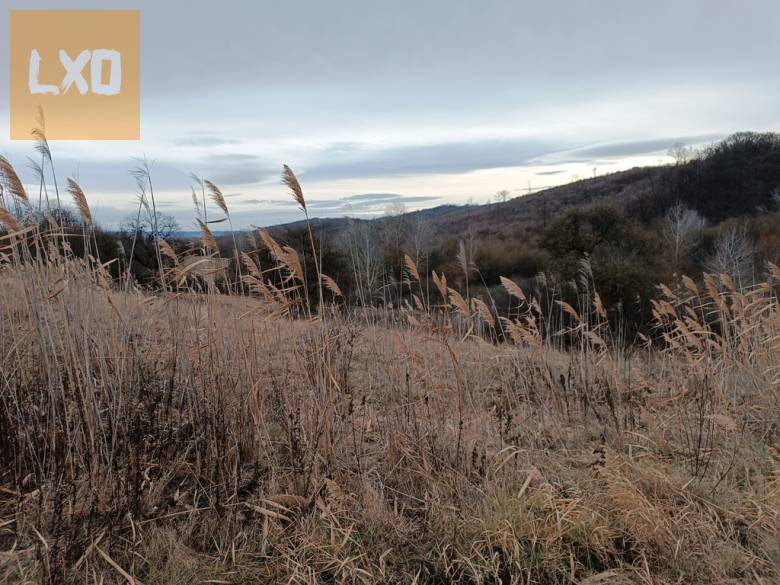 Eladó 39390 m2-es mezőgazdasági telek Őrbottyánban. apróhirdetés