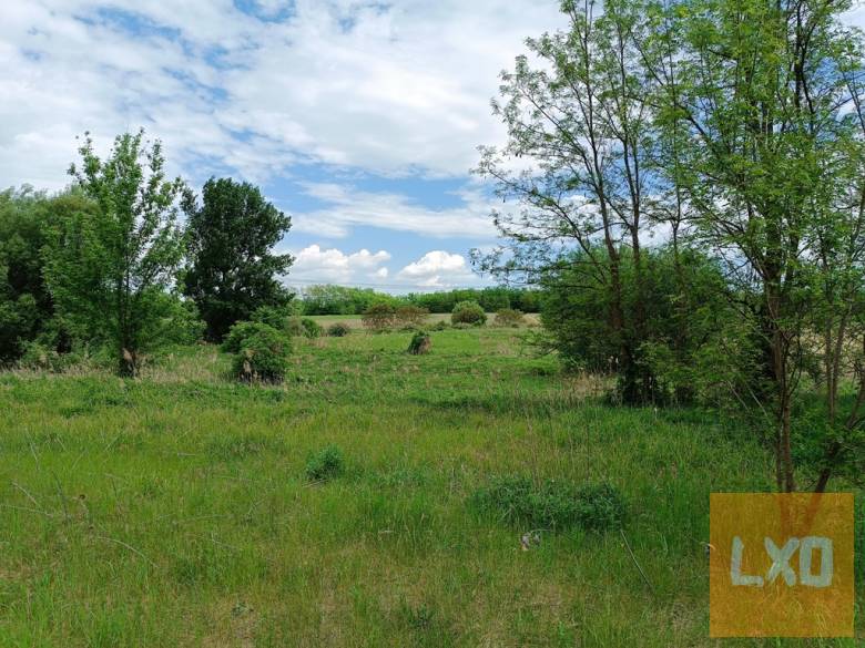 Eladó 11000 m2-es MÁ jelű általános mezőgazdasági telek Őrbottyánban. apróhirdetés