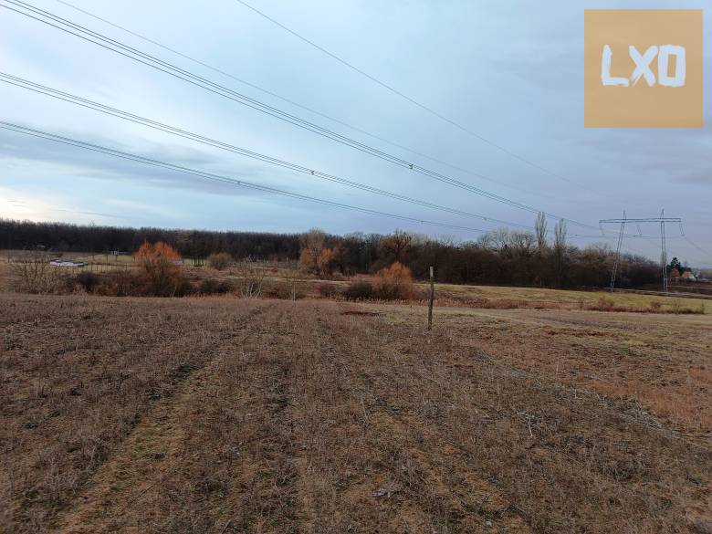 Eladó 15000 m2-es MÁ jelű általános mezőgazdasági telek Őrbottyánban. apróhirdetés