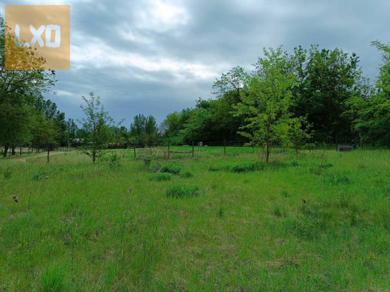 Eladó 11000 m2-es MÁ jelű általános mezőgazdasági telek Őrbottyánban. apróhirdetés