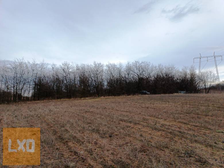 Eladó 15000 m2-es MÁ jelű általános mezőgazdasági telek Őrbottyánban. apróhirdetés