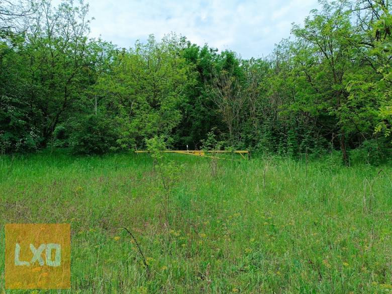 Eladó 11000 m2-es MÁ jelű általános mezőgazdasági telek Őrbottyánban. apróhirdetés