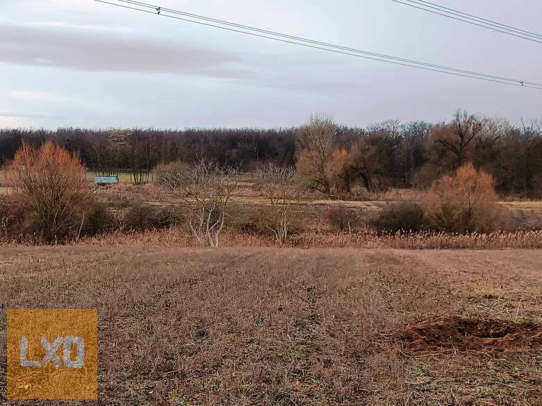 Eladó 15000 m2-es MÁ jelű általános mezőgazdasági telek Őrbottyánban. apróhirdetés