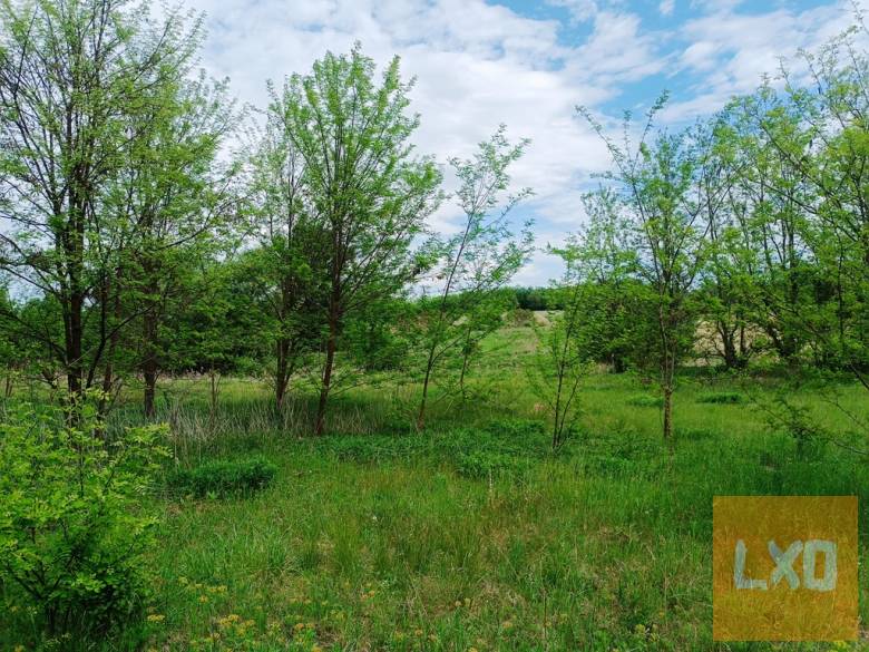 Eladásra kínálok 15000 m2-es mezőgazdasági telket Őrbottyánban. apróhirdetés