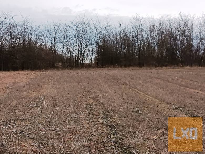 Eladásra kínálok 15000 m2-es mezőgazdasági telket Őrbottyánban. apróhirdetés