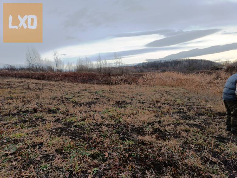 Eladásra kínálok 10000 m2-es mezőgazdasági telket Őrbottyán határában. apróhirdetés
