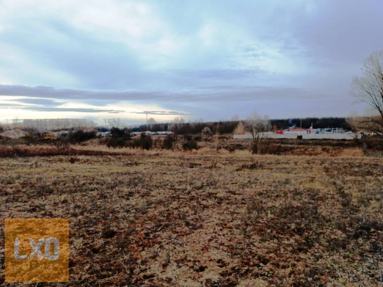 Eladásra kínálok 10000 m2-es mezőgazdasági telket Őrbottyán határában. apróhirdetés