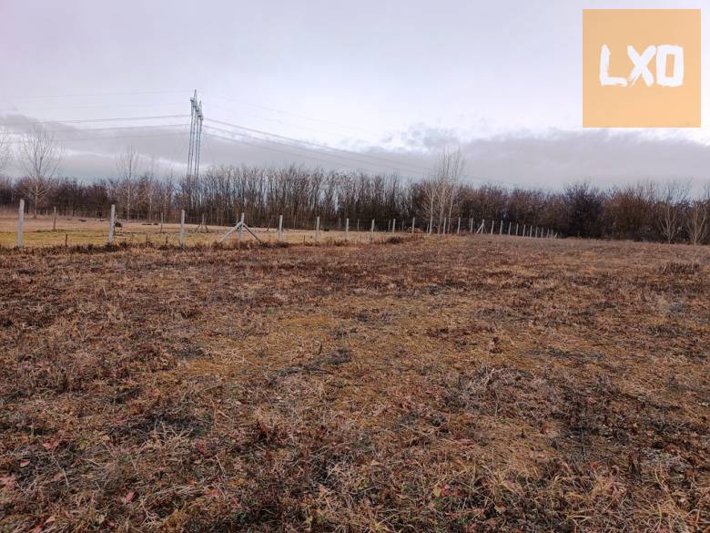 Eladásra kínálok 10000 m2-es mezőgazdasági telket Őrbottyán határában. apróhirdetés