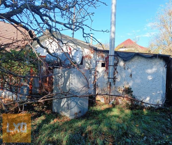 Tóparthoz közeli lakóház Délegyházán – 80 méterre a víztől! apróhirdetés