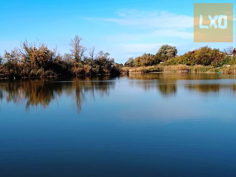 Tóparthoz közeli lakóház Délegyházán – 80 méterre a víztől! apróhirdetés