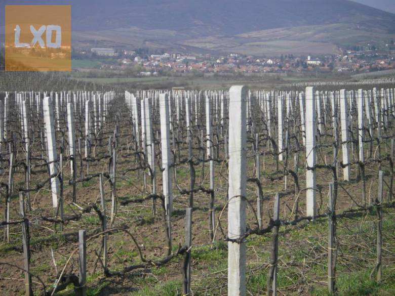 PVC-s drótfonat, drótháló, drótkerítés, kerítés oszlop, kapu apróhirdetés