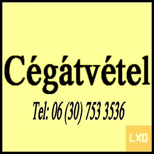 Köztartozás? Házipénztár? Cégátvétel! apróhirdetés