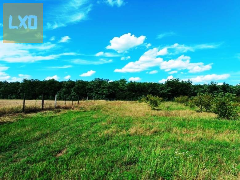 Eladó 15 HA szántó,legelő Sződön. apróhirdetés