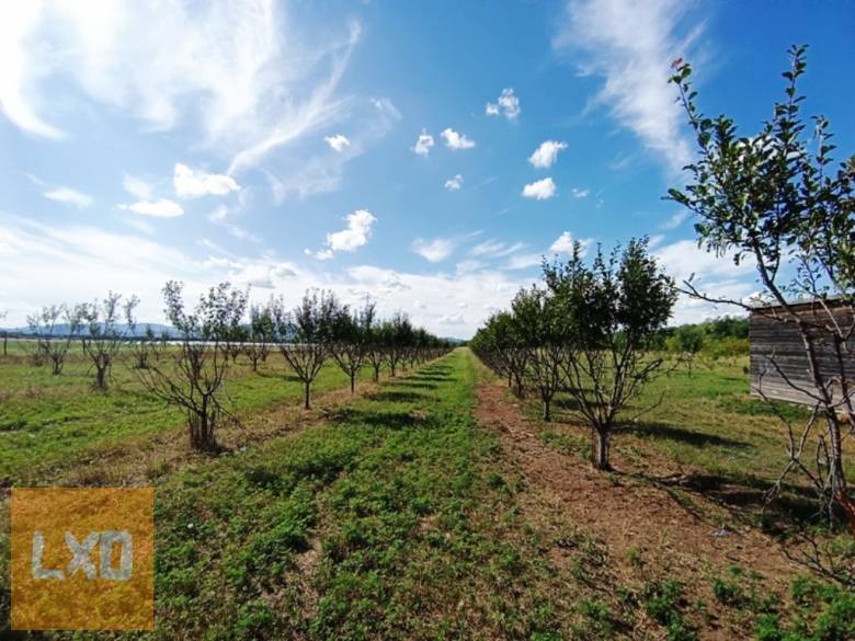 Eladó 8.2 Hektár mezőgazdasági terület Sződön. apróhirdetés