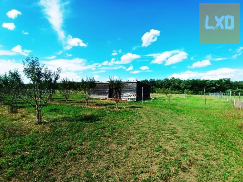 Eladó 15 HA szántó,legelő Sződön. apróhirdetés