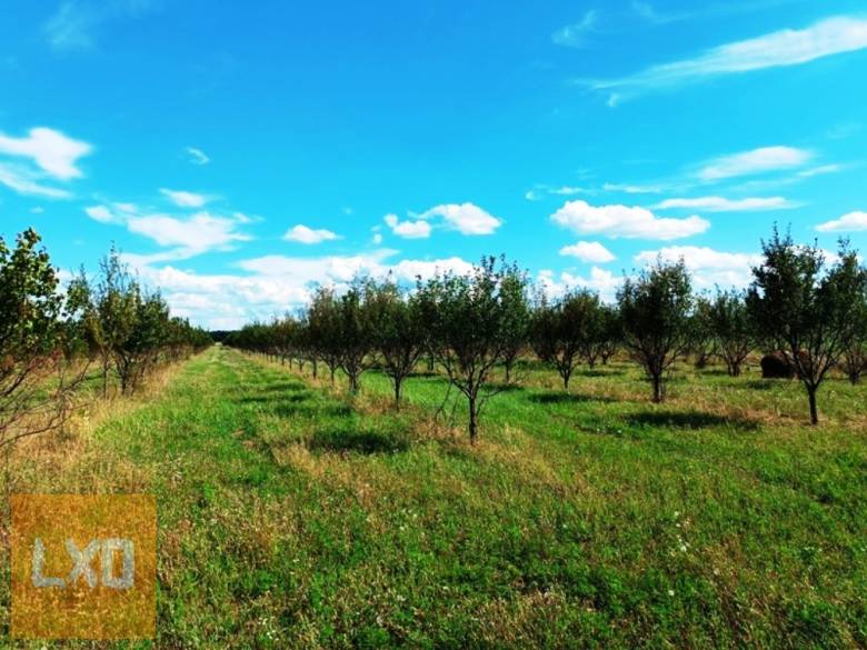 Eladó 15 HA szántó,legelő Sződön. apróhirdetés