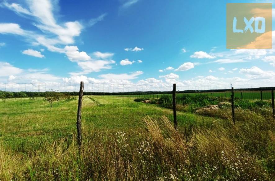 Eladó 15 HA szántó,legelő Sződön. apróhirdetés