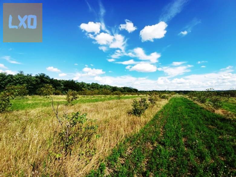 Eladó 15 HA szántó,legelő Sződön. apróhirdetés