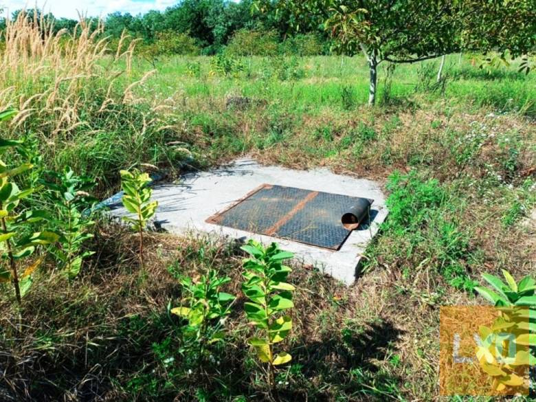 Eladó 8.2 Hektár mezőgazdasági terület Sződön. apróhirdetés