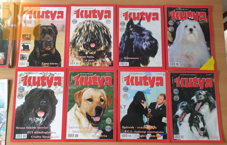 A kutya c. újság eladó, régiek apróhirdetés