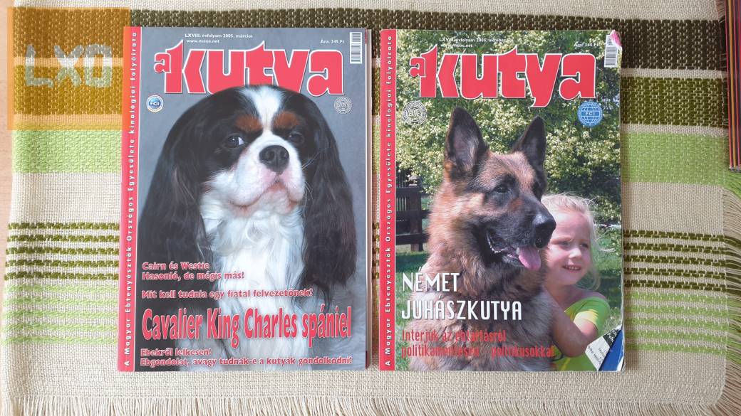A kutya c. újság eladó, régiek apróhirdetés